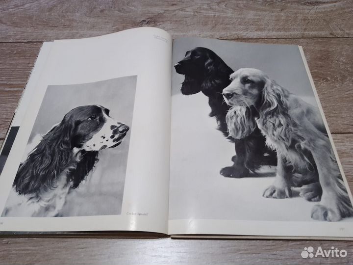 Продаю книгу о породах собак на нем.языке