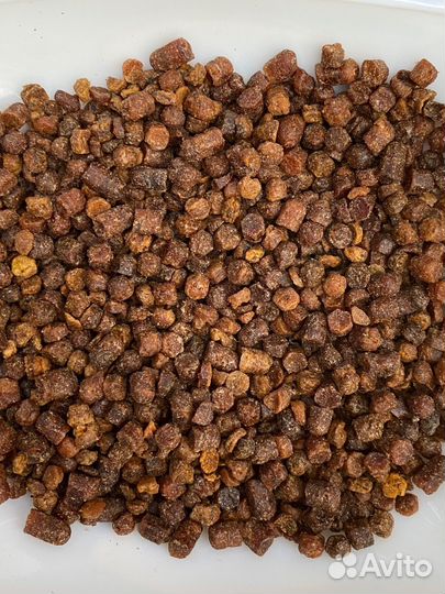 Перга пчелиная свежая