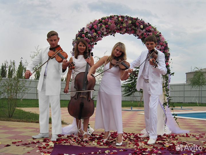 Скрипач, струнный квартет, оркестр