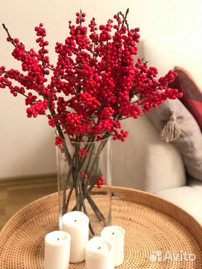 Илекс ветки