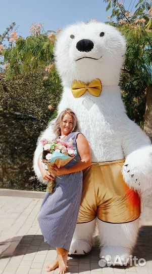 Белые медведи и Ушастик