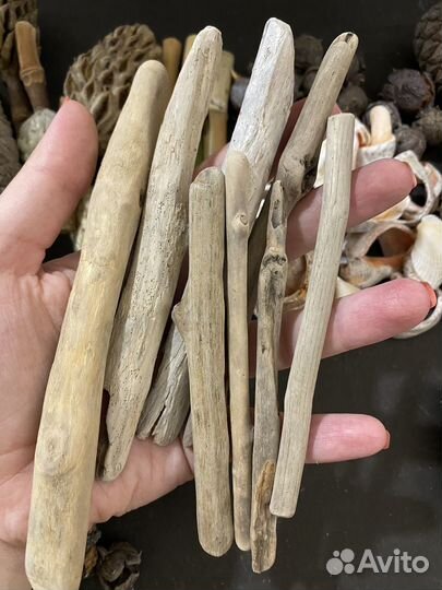 009 - шишки, ракушки, бамбук набор