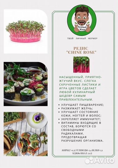 Семена для микрозелени Редис Чайна Роуз