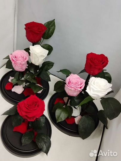 Роза в колбе оптом и в розницу