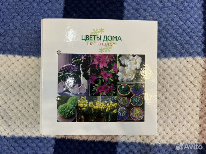 Цветы для дома шаг за шагом