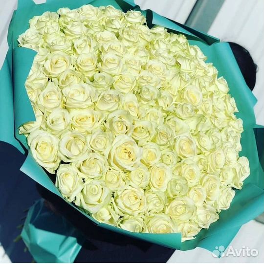 51 роза 101 роза 151 роза