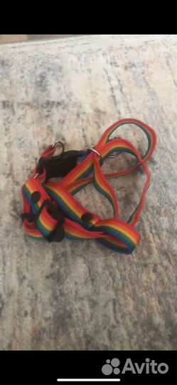 Шлейка для мелких пород собак