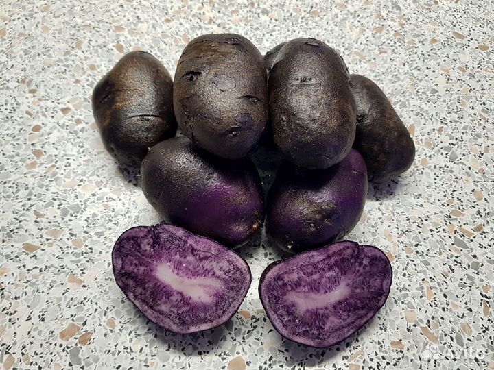 Семенной картофель