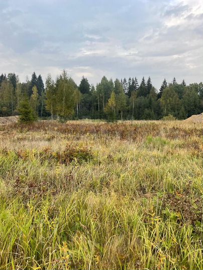 Участок 7 сот. (СНТ, ДНП)