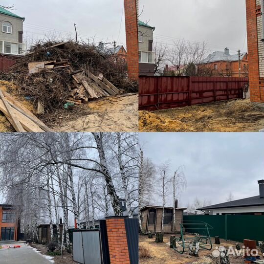 Спил деревьев. Удаление пней