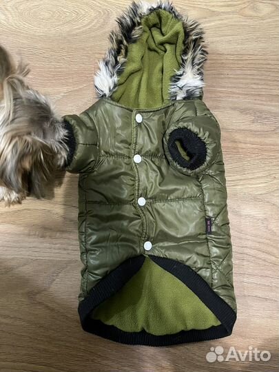 Куртка для собаки