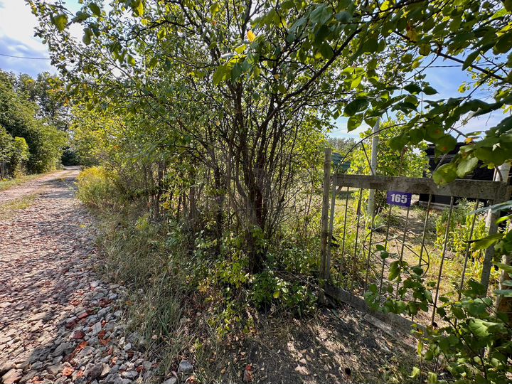 Участок 9 сот. (СНТ, ДНП)