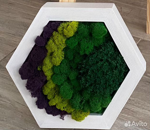 Панели из стабилизированного мха