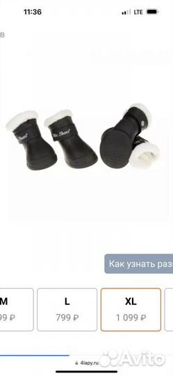 Ботинки для собаки