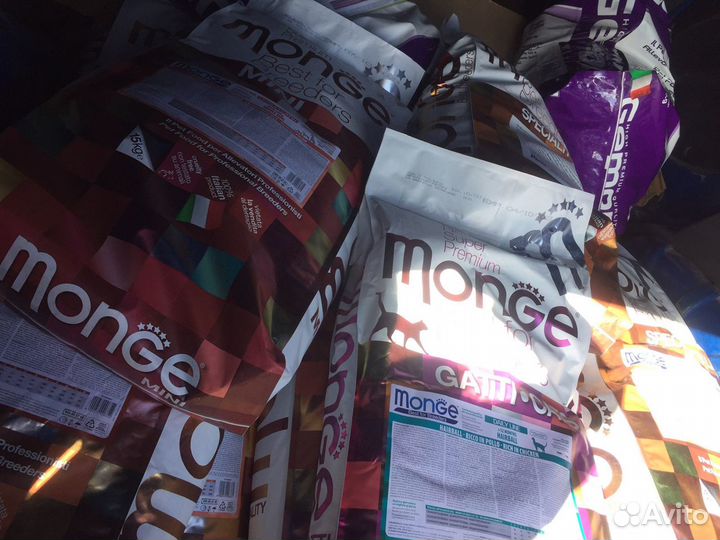 Корм для собак кошек Mongе Gemon