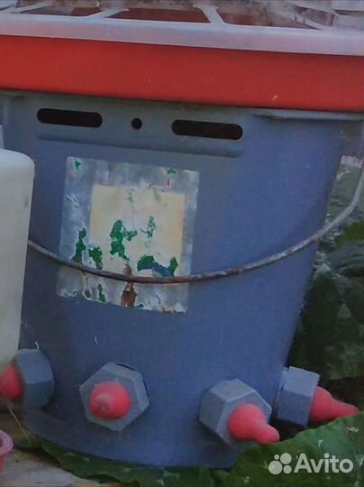 Ведро для выпаивания телят