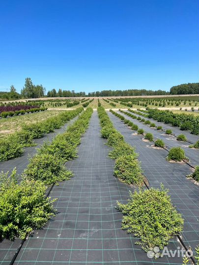 Ищем инвестора в бизнес