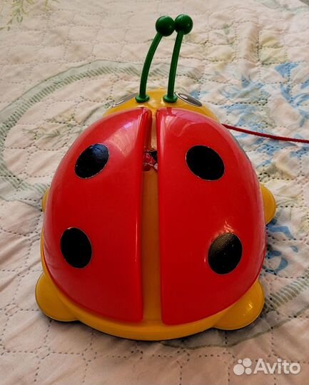 Божья коровка