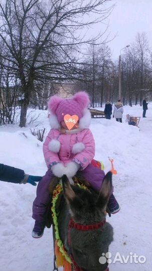 Зимний костюм 