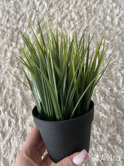 Искуственное растение IKEA