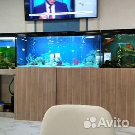 Абонентское обслуживание аквариума