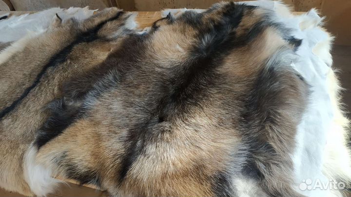 Выделка шкур коз, овец, баранов качественно