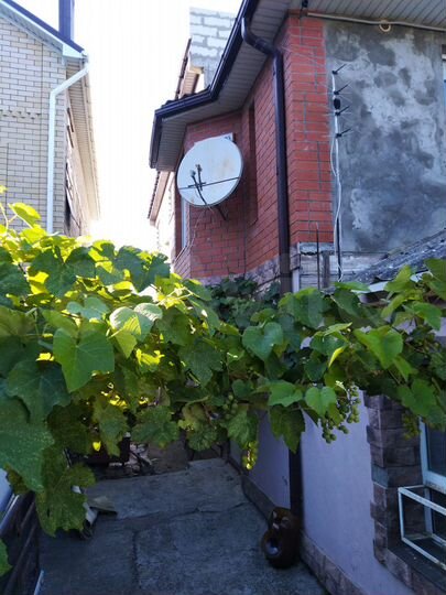 Дом 270 м² на участке 1,9 сот.