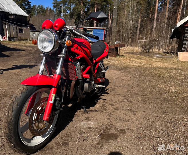Suzuki bandit 250