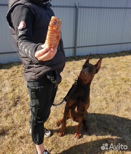 Сушеные лакомства для собак