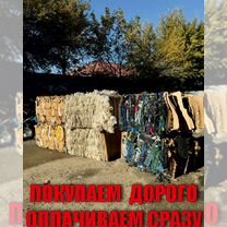 Прием картона и пленки, Махачкала