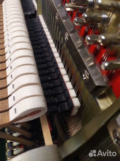 Настройка пианино и рояля