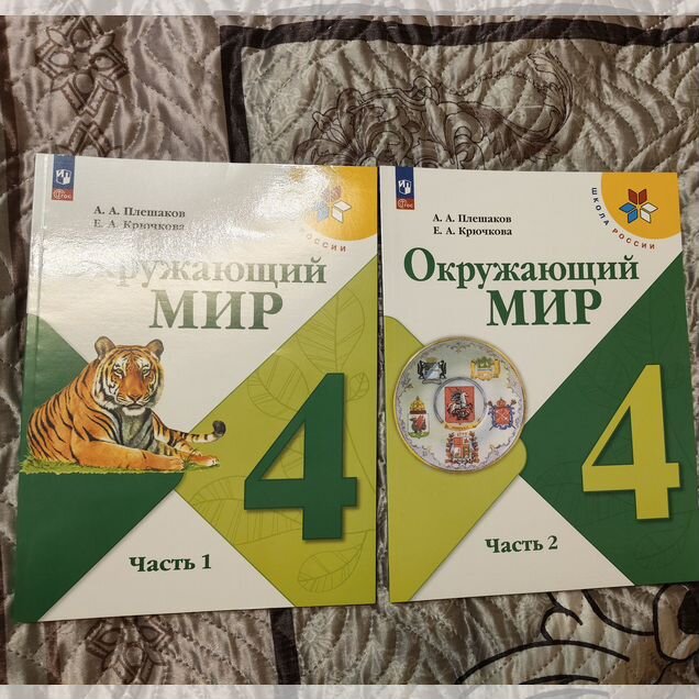 Окружающий мир, 4 класс, 2 части, Плешаков