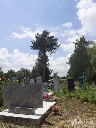 Спил деревьев