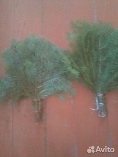 Веник для бани