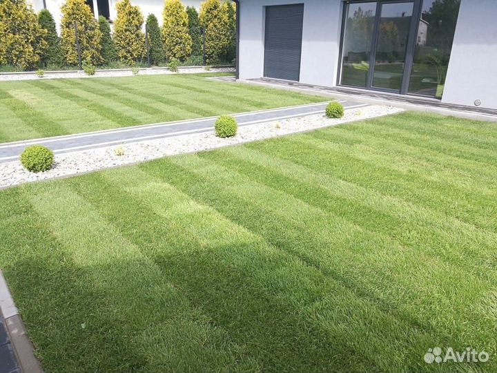 Озеленение (рулонный газон), газон под ключ