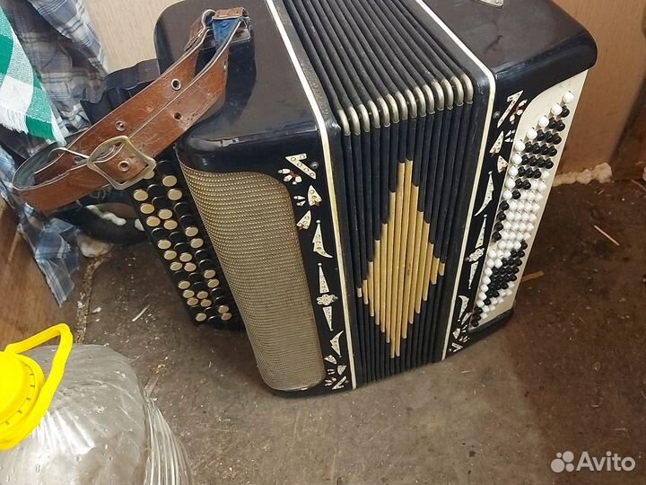 Баян беларусь