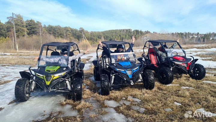 Прокат багги