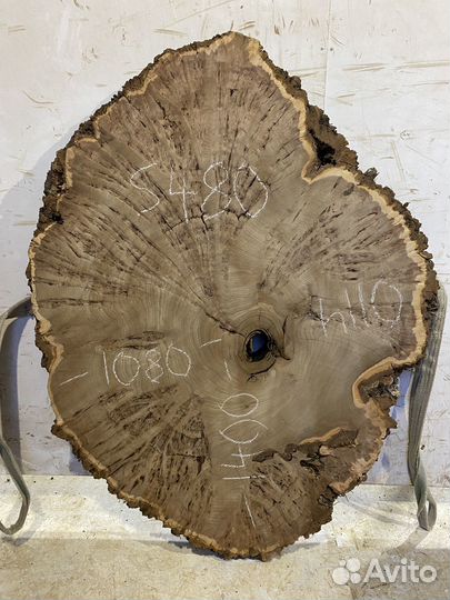 Спилы слэбы из дуба карагача тополя бука