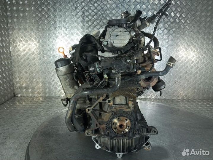 Двигатель ASV Volkswagen Golf 4 (1997-2005)