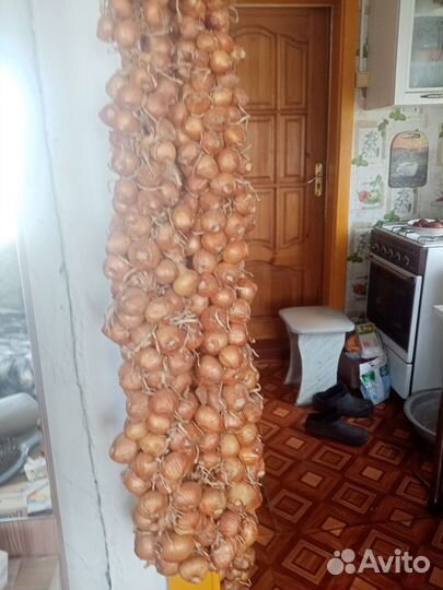 Лук семейка 2 кг