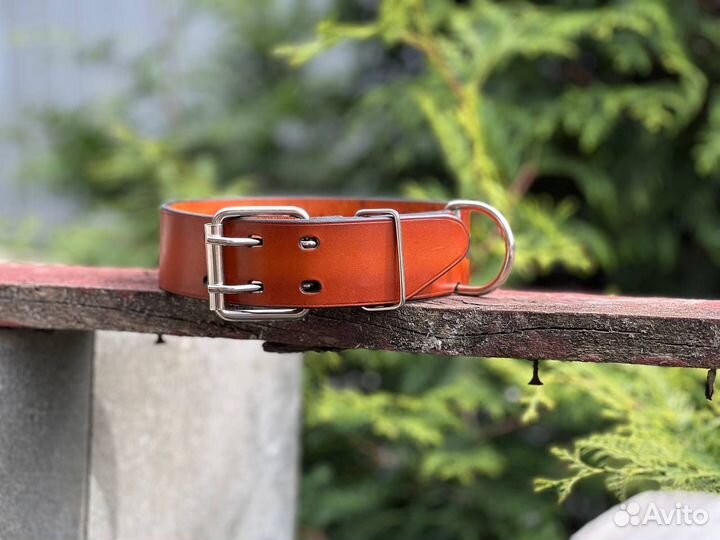 Ошейник для собак