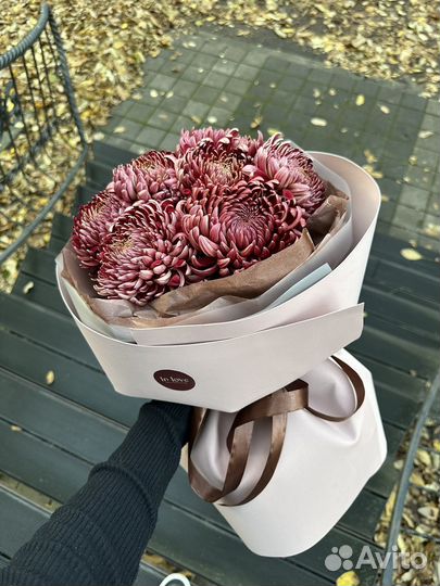 Букет хризантем Цветы Доставка