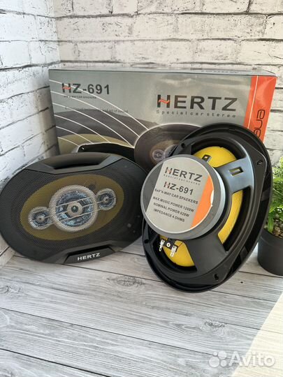 Динамики hertz овалы