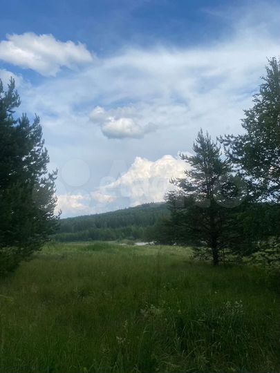 Участок 3 га (промназначения)