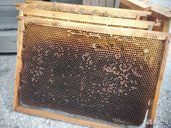 Рамки для ульев дадан