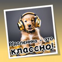 Стажер в Call-центр (контактный центр)