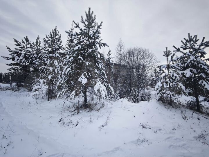 Участок 52 сот. (промназначения)