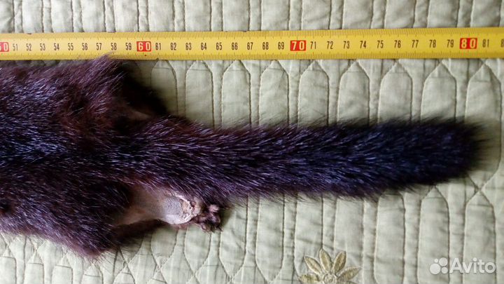 Шкурка животного