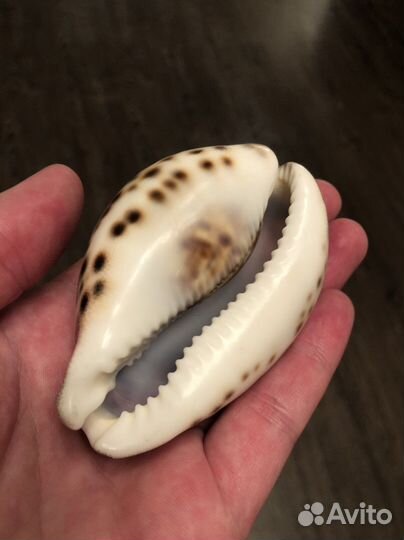 Ненужная мелочь