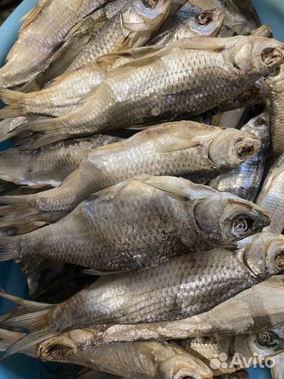 Вяленая рыба